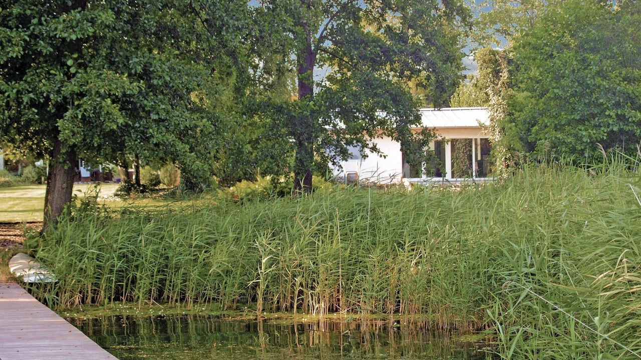 Photo of Others in Wolzig