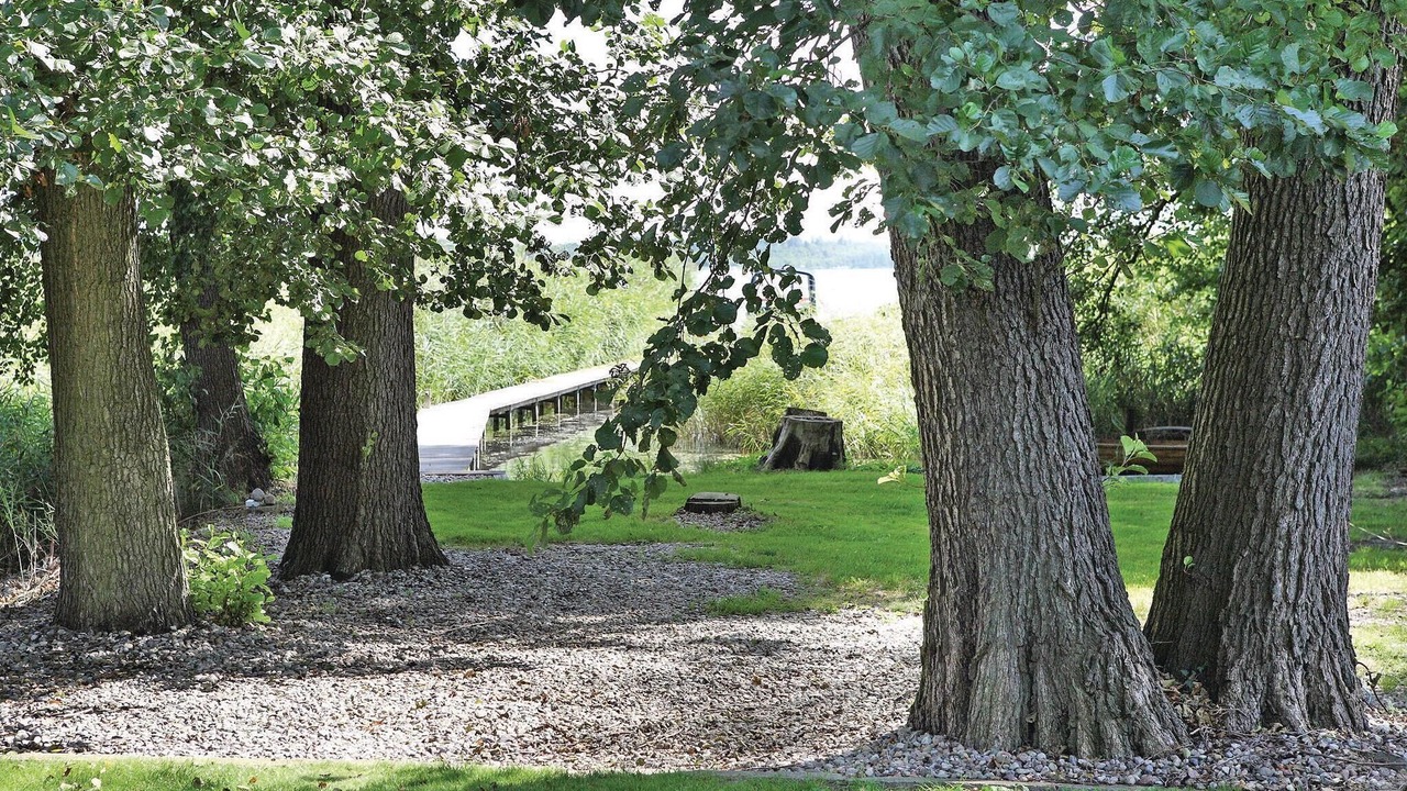Photo of Others in Wolzig