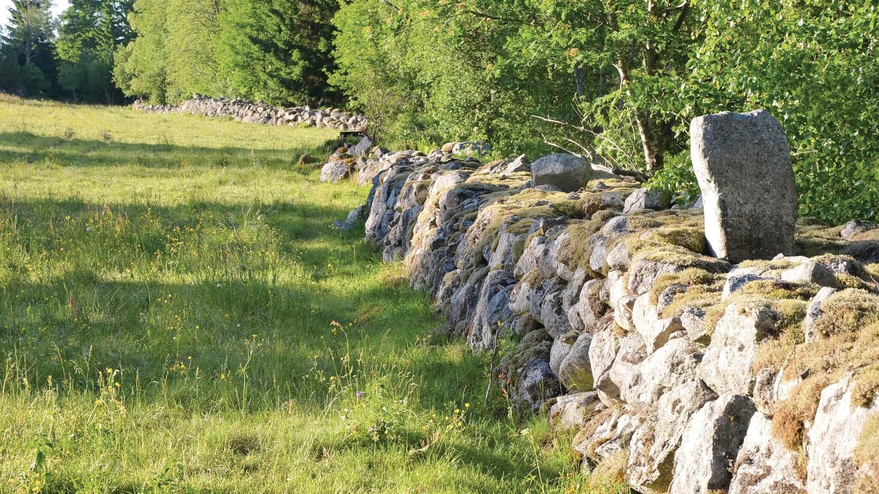 Photo of Others in Stockaryd