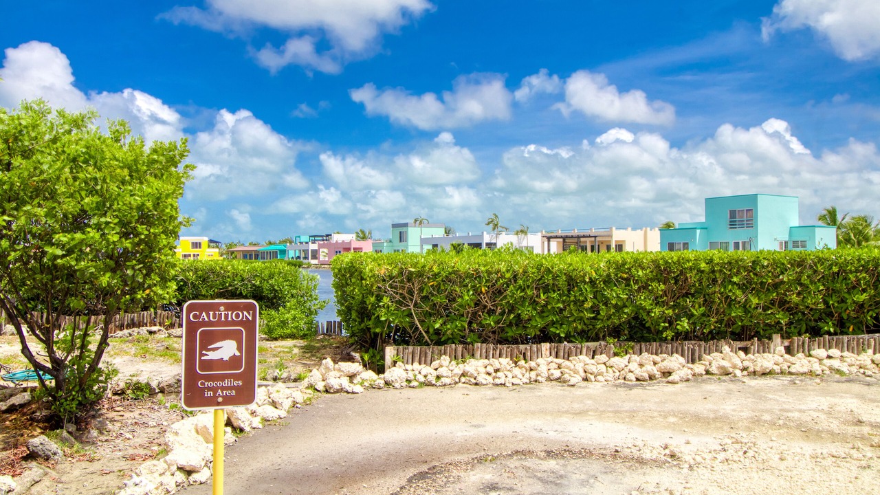 Photo of Outdoor in San Pedro