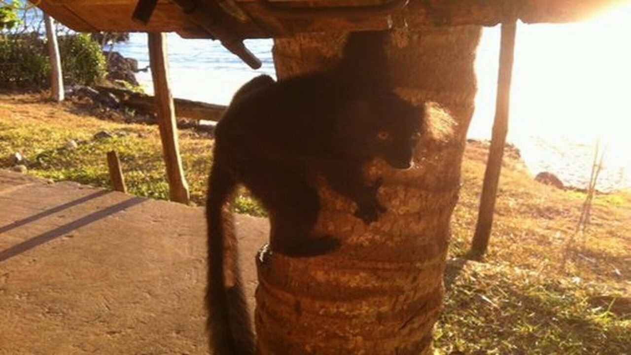 Photo of Outdoor in Nosy Tanihely