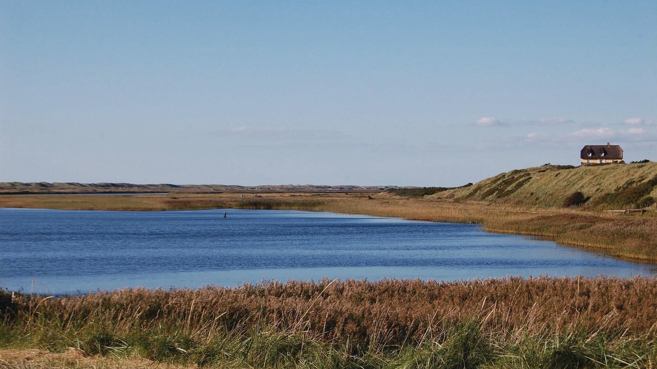 Photo of Others in Bjerregaard