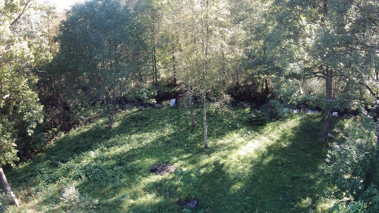 Photo of Others in Drakabygget