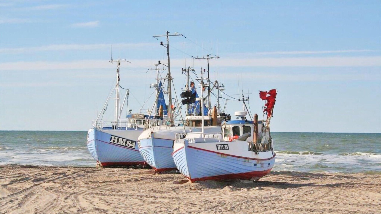 Photo of Others in Torup Strand