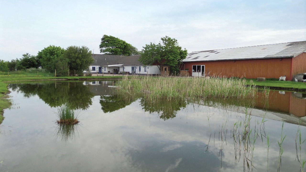 Photo of Others in Esbjerg Municipality
