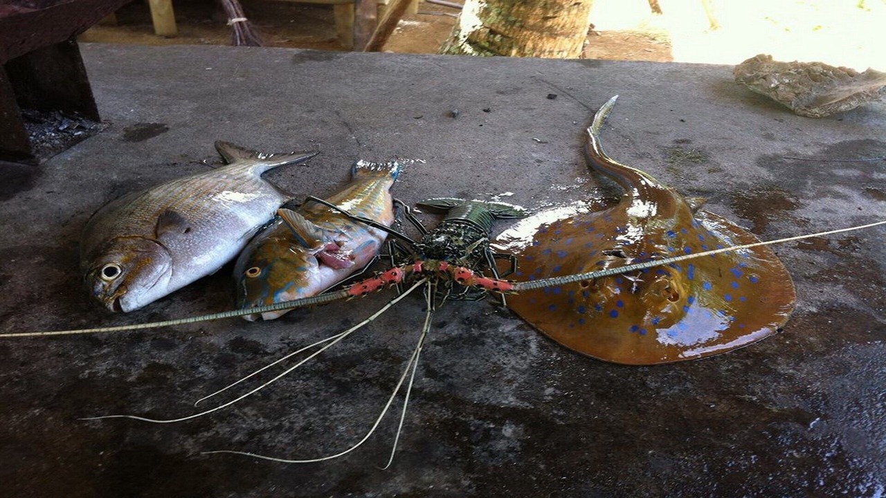 Photo of Outdoor in Nosy Tanihely
