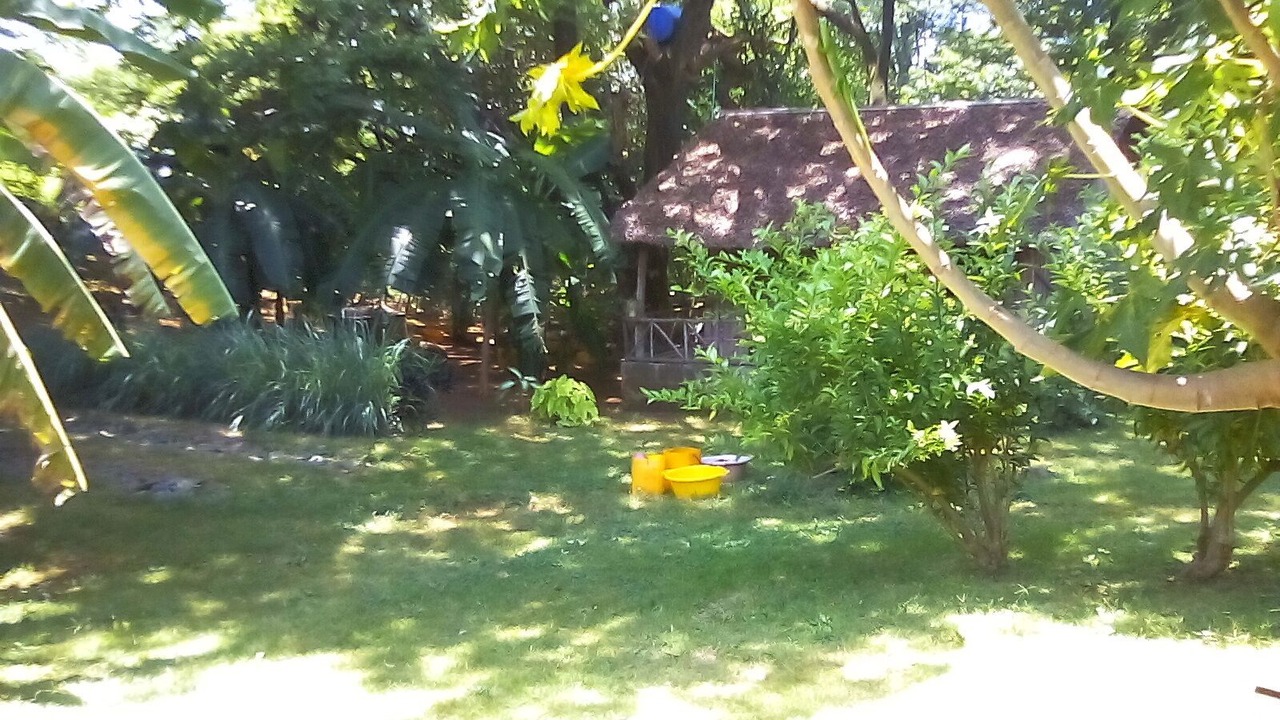 Photo of Outdoor in Nosy Tanihely