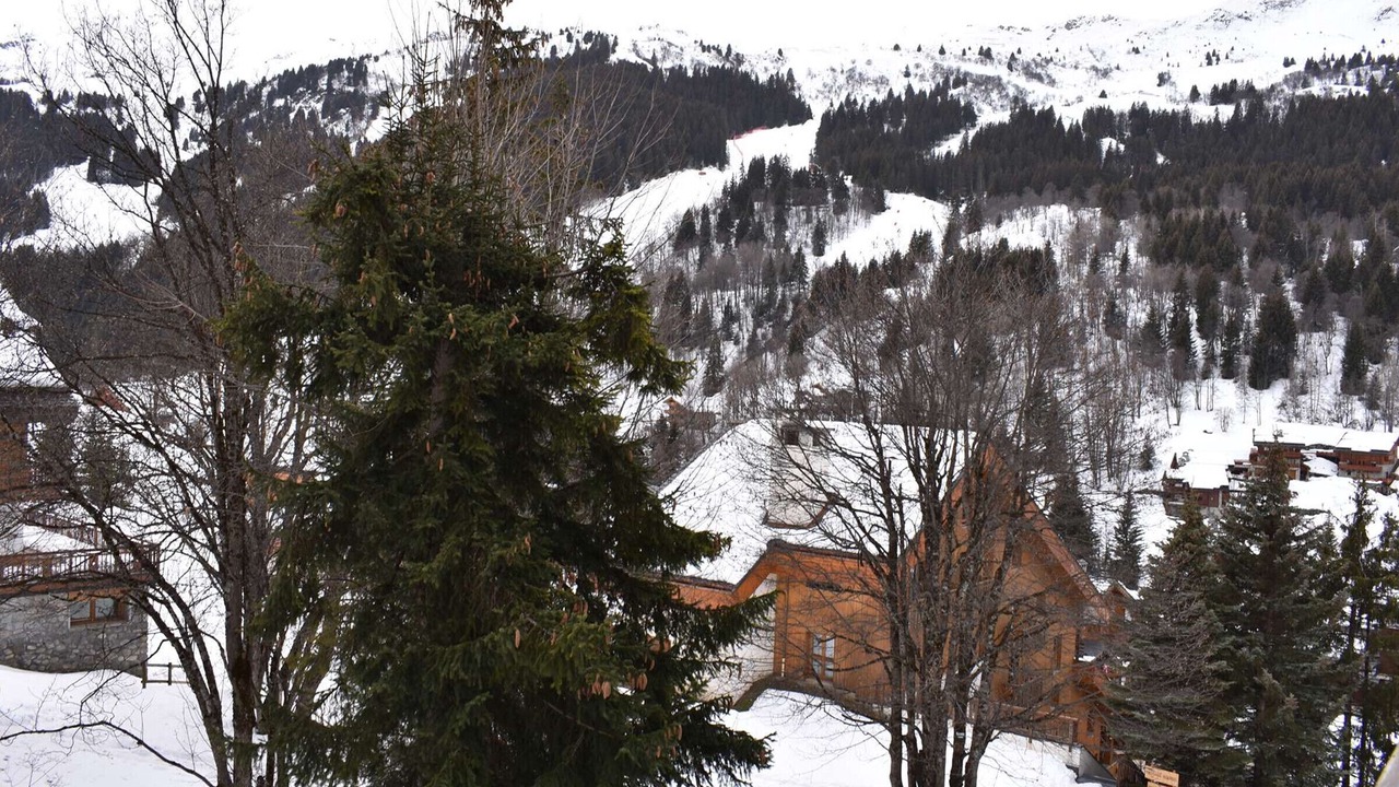 Photo of Outdoor in Meribel Centre