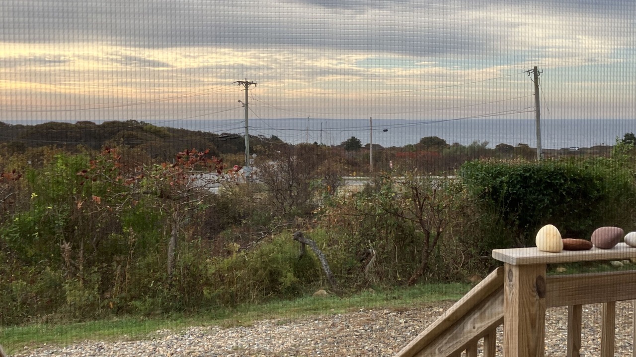 Photo of Others in Aquinnah
