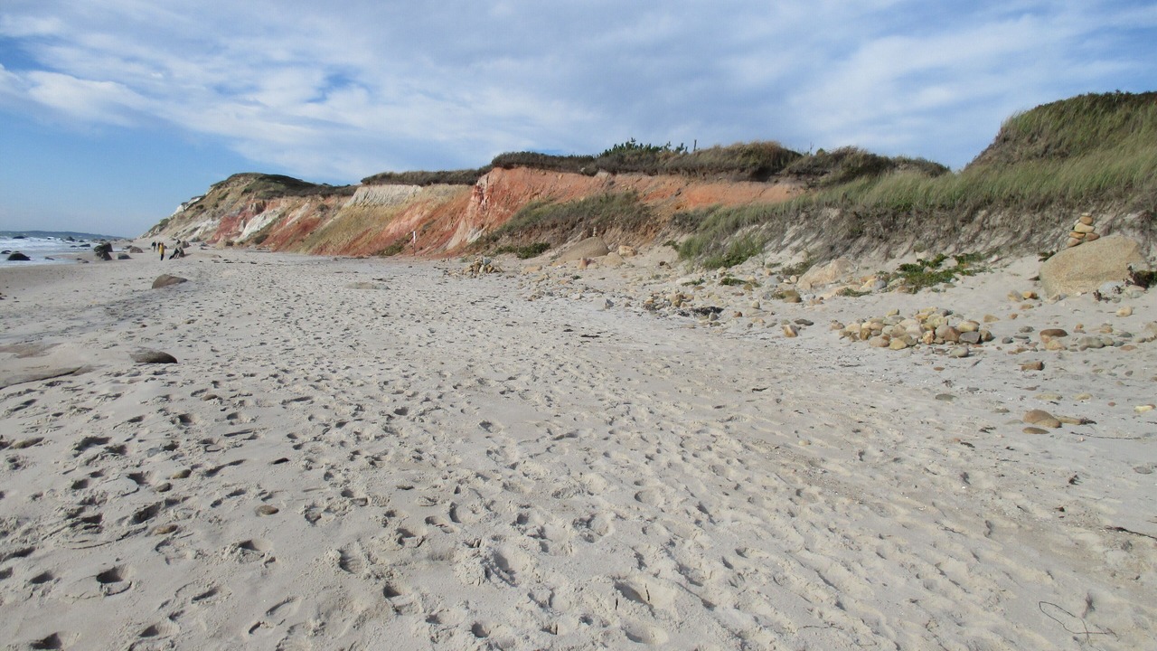 Photo of Others in Aquinnah