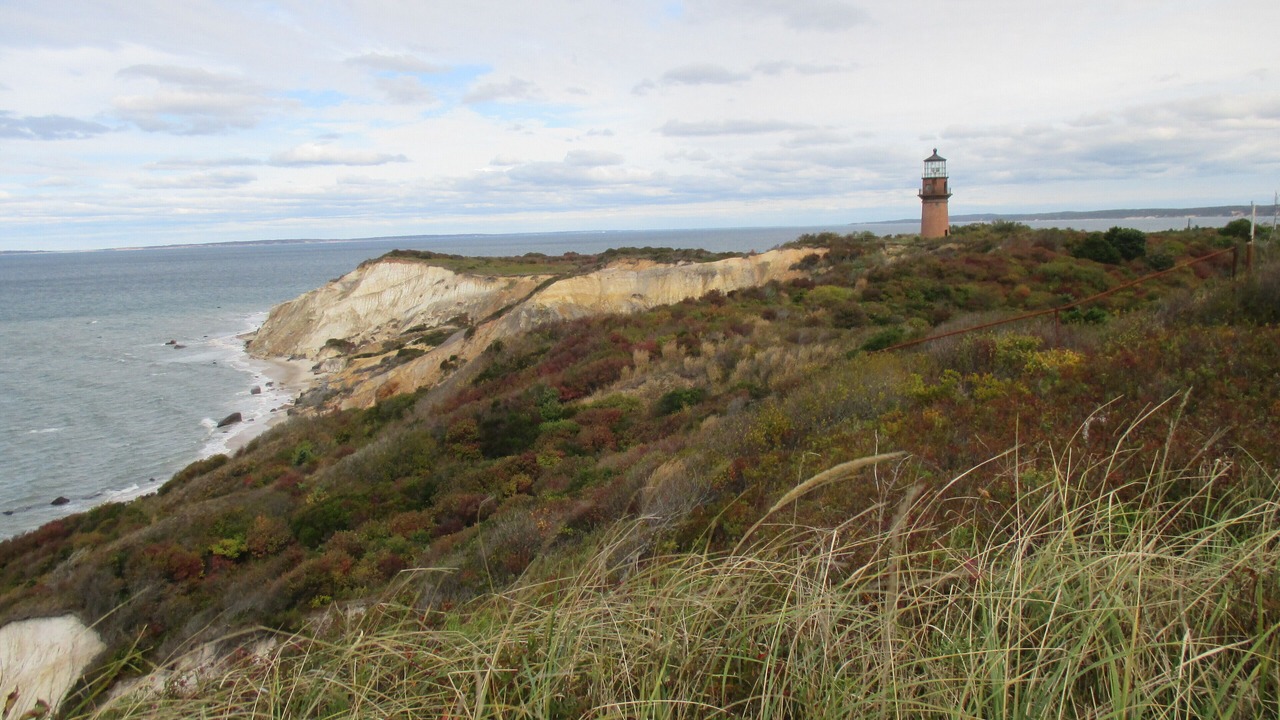 Photo of Others in Aquinnah