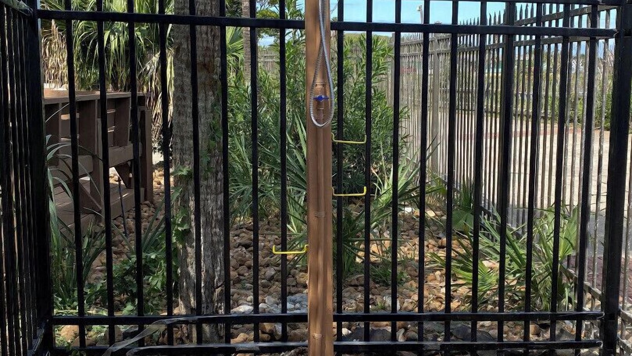 Photo of Outdoor in Galveston