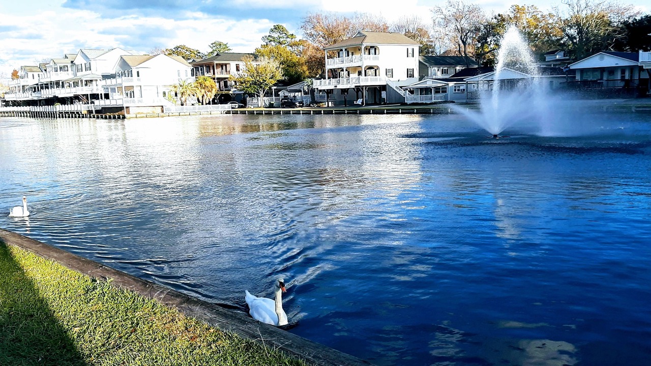 Photo of Outdoor in Myrtle Beach