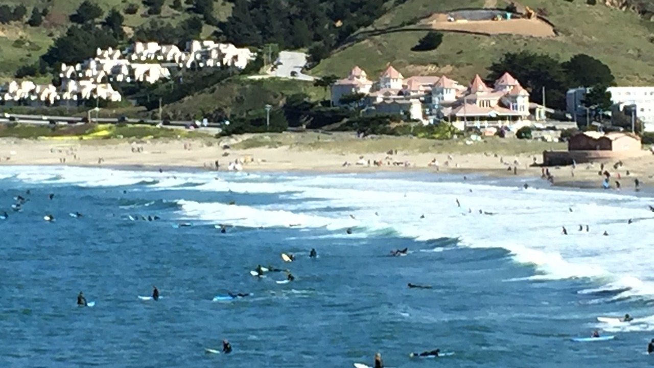 Photo of Others in Pedro Point