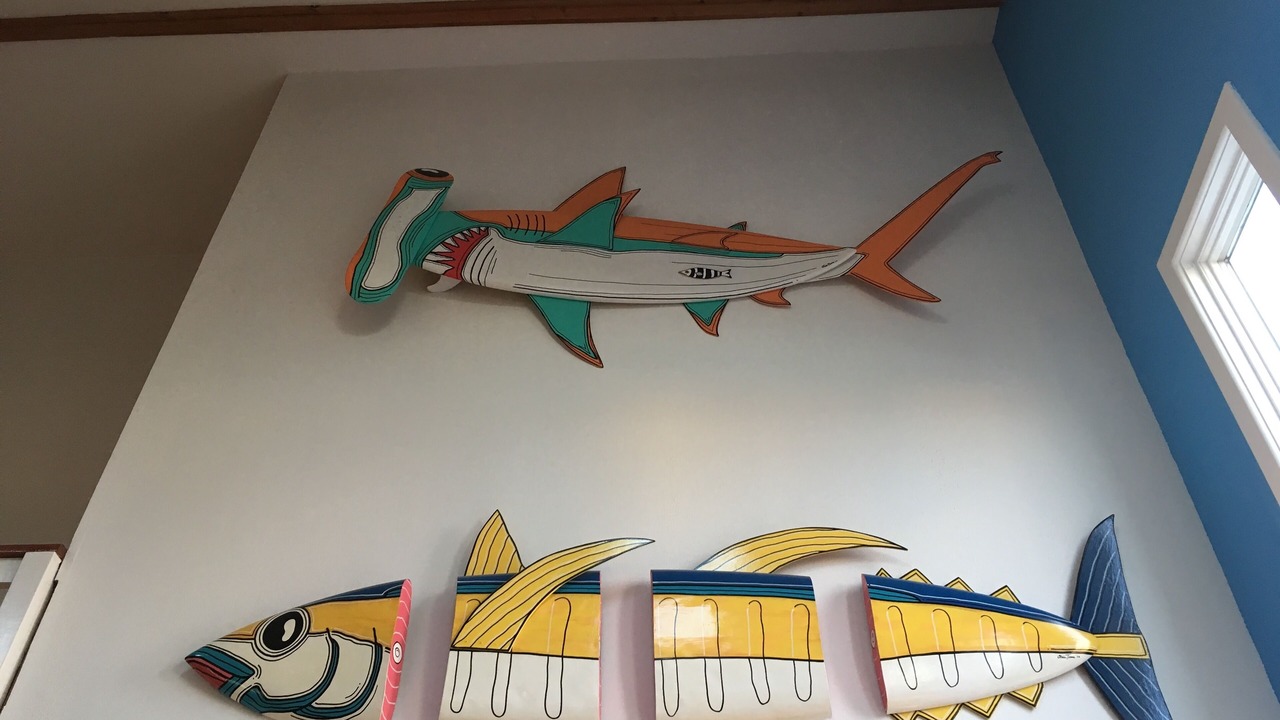 Photo of Others in South Nags Head
