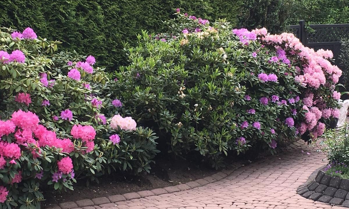 Photo of Outdoor in Bad Sassendorf