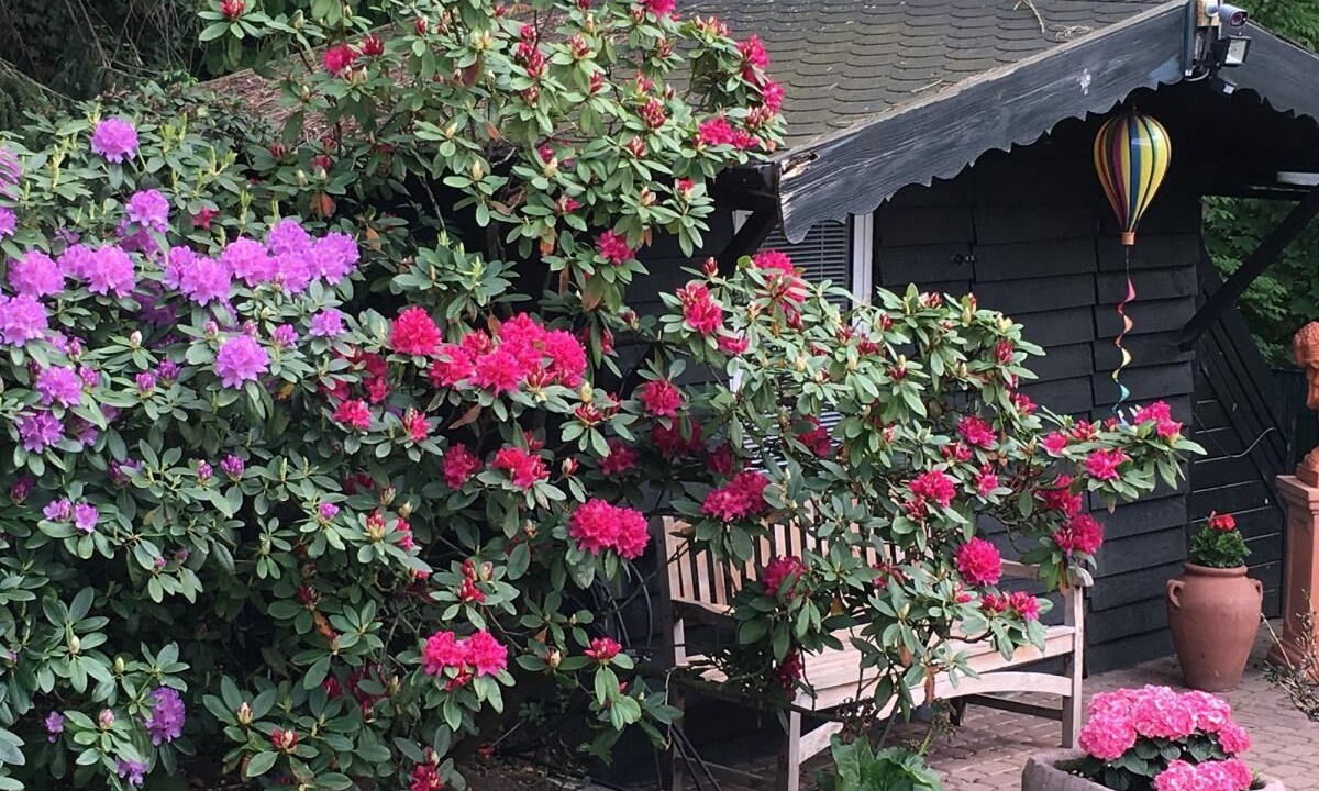 Photo of Outdoor in Bad Sassendorf