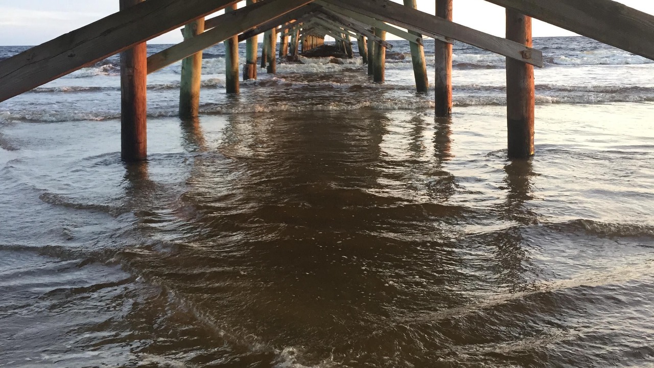 Photo of Others in Long Beach