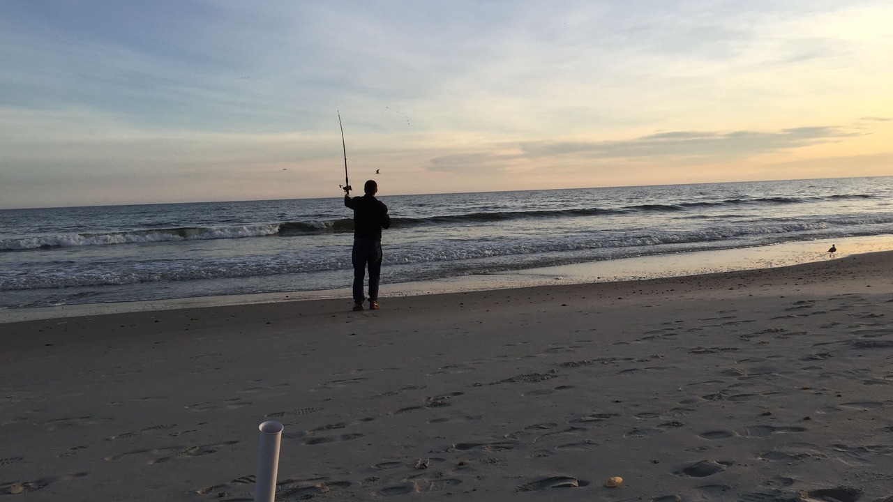 Photo of Others in Long Beach