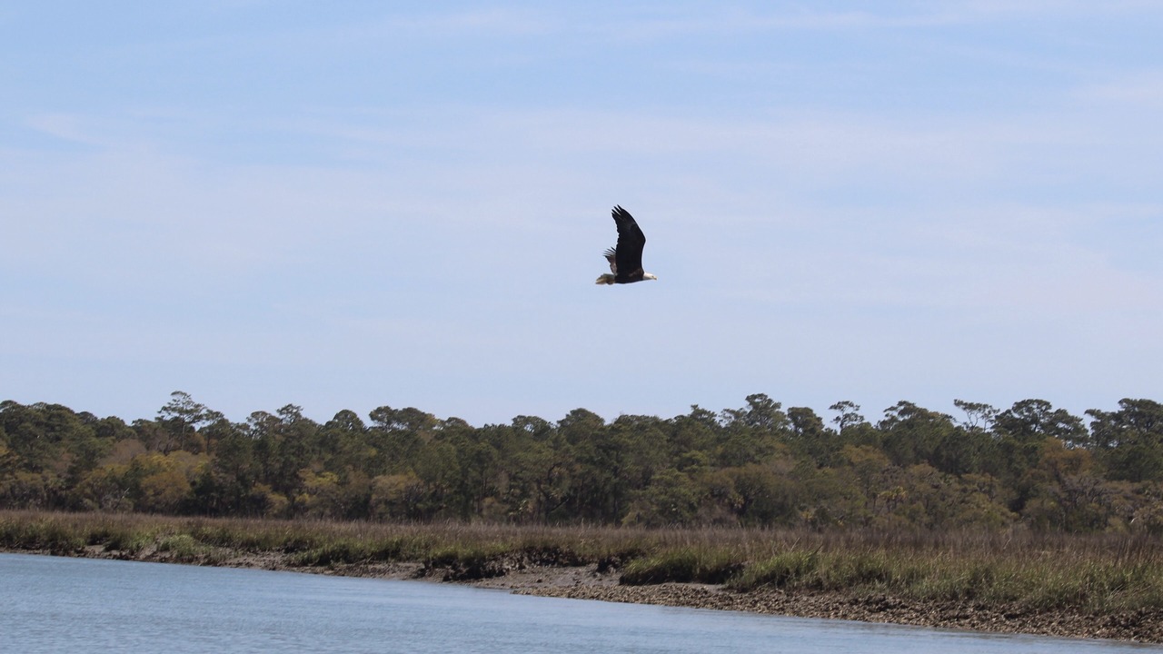 Photo of Others in Seabrook Island