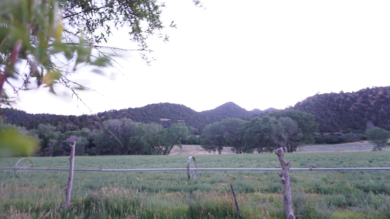 Photo of Outdoor in Glendale