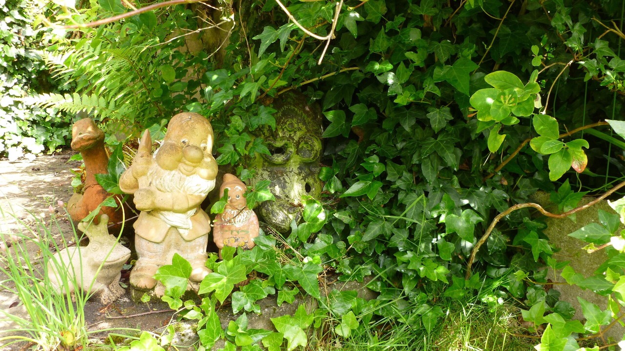 Photo of Outdoor in Assebroek