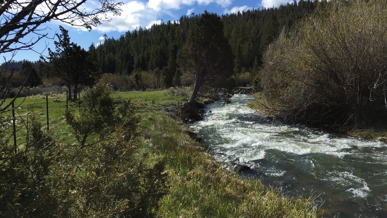 Photo of Outdoor in Mammoth Creek