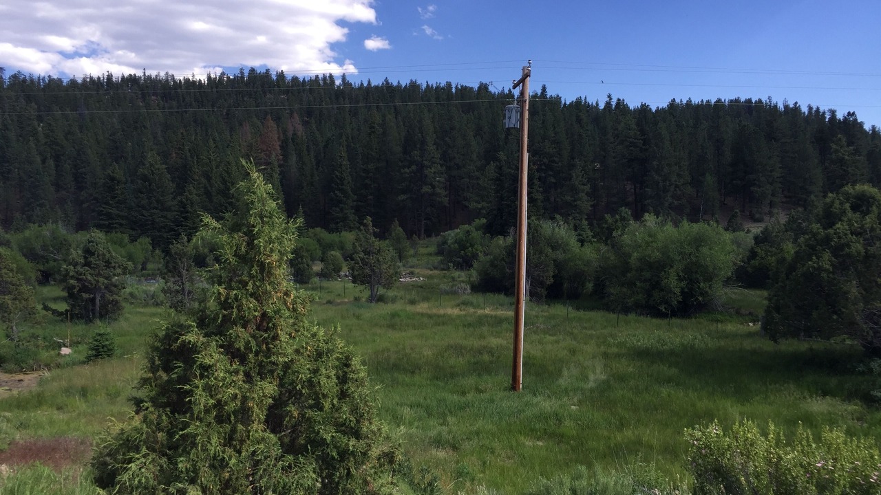 Photo of Outdoor in Mammoth Creek