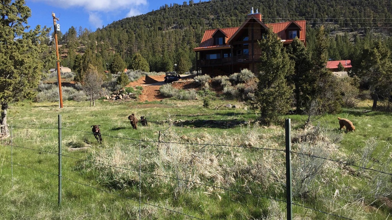 Photo of Outdoor in Mammoth Creek