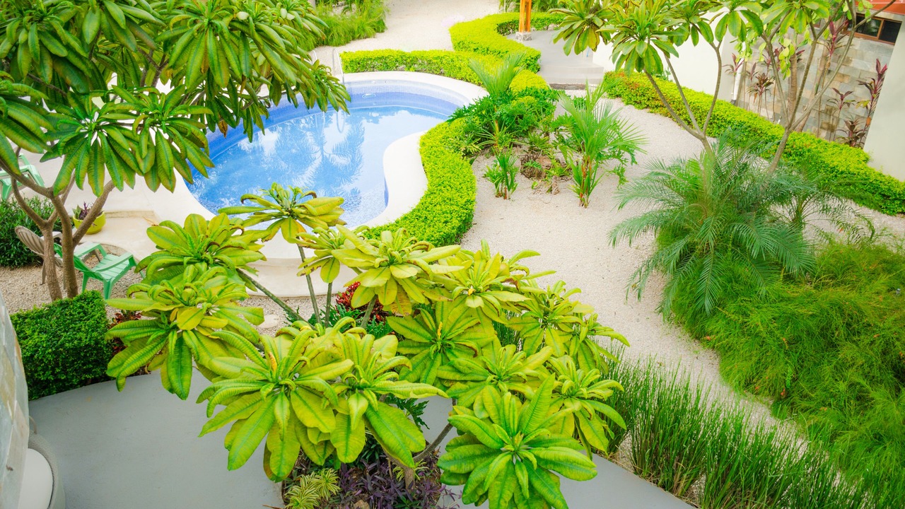 Photo of Outdoor in Coco