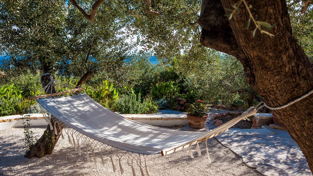 Photo of Outdoor in Bol