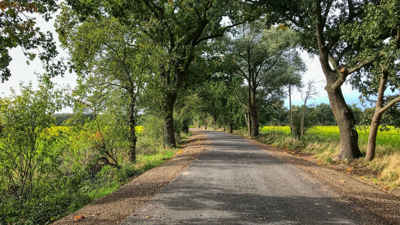 Photo of Outdoor in Paewesin