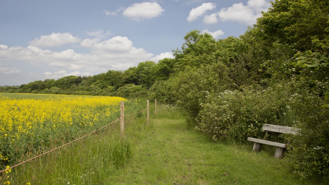 Photo of Others in Skipsea