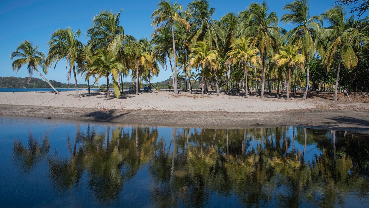Photo of Others in Puerto Carrillo