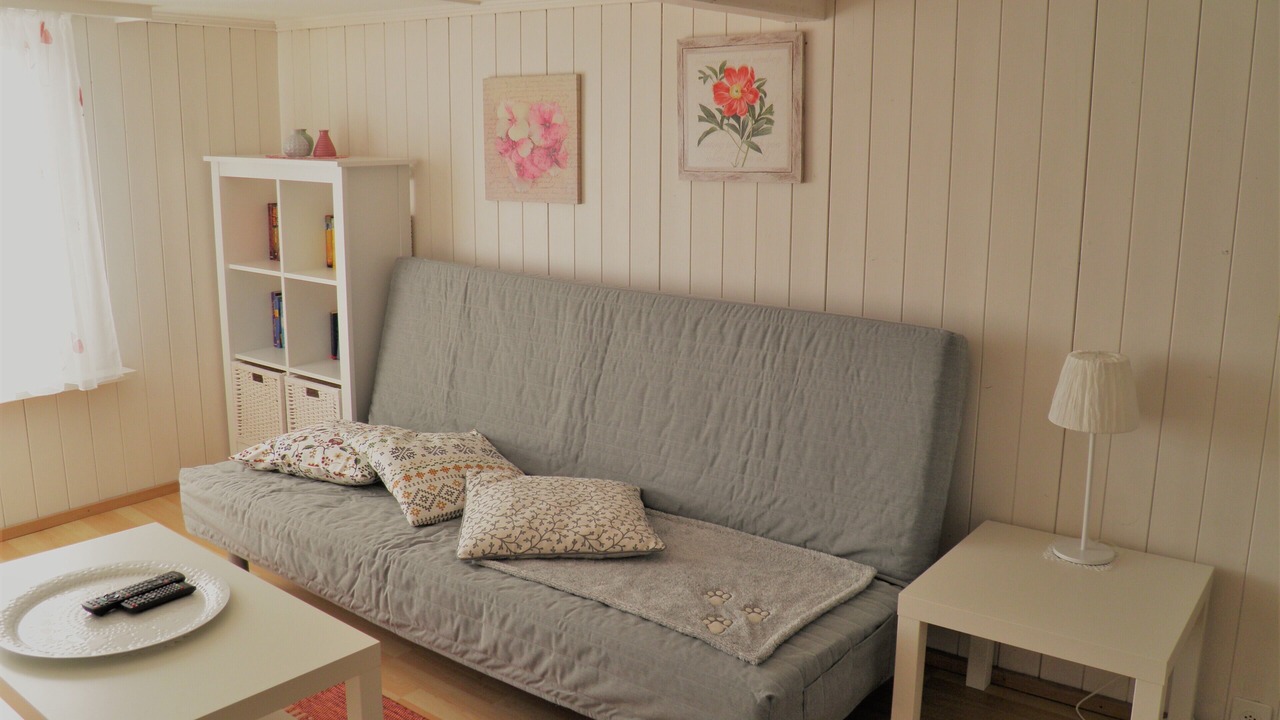 Photo of Livingroom in Amden