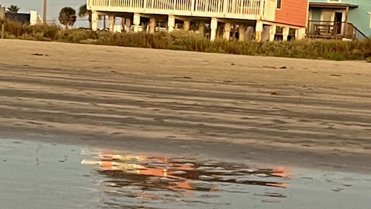 Photo of Others in Galveston