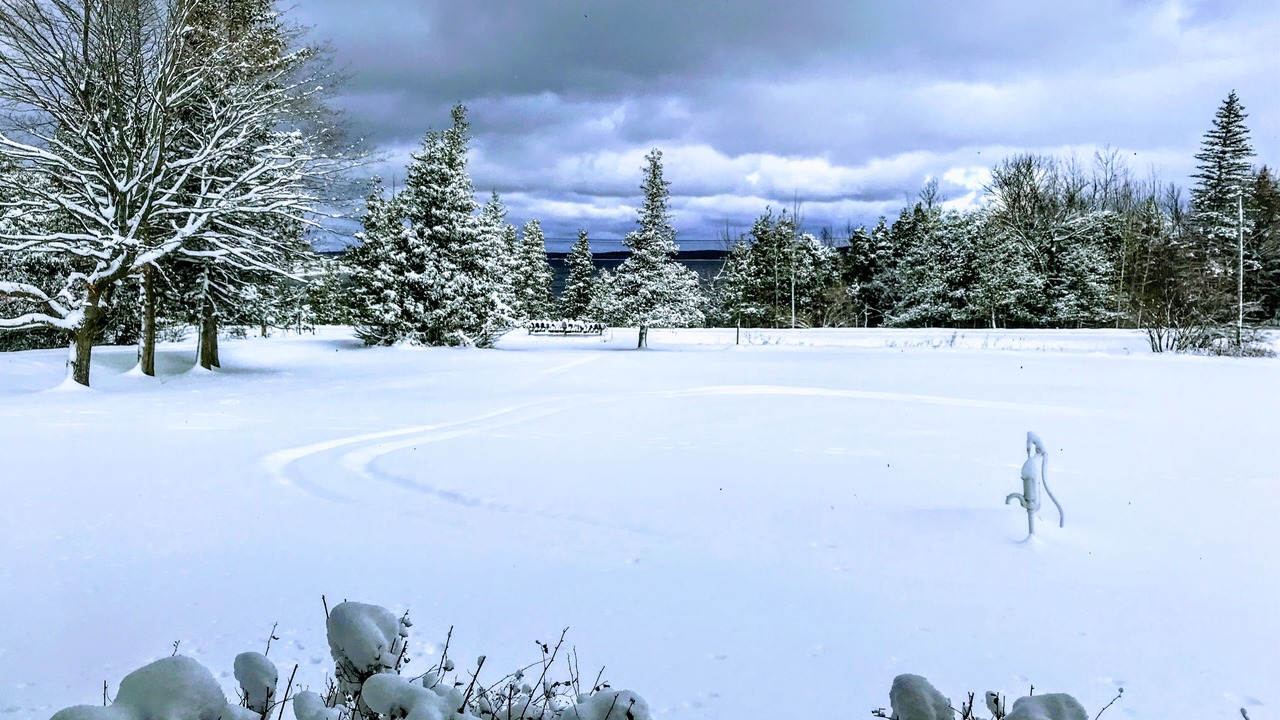 Photo of Outdoor in East Jordan