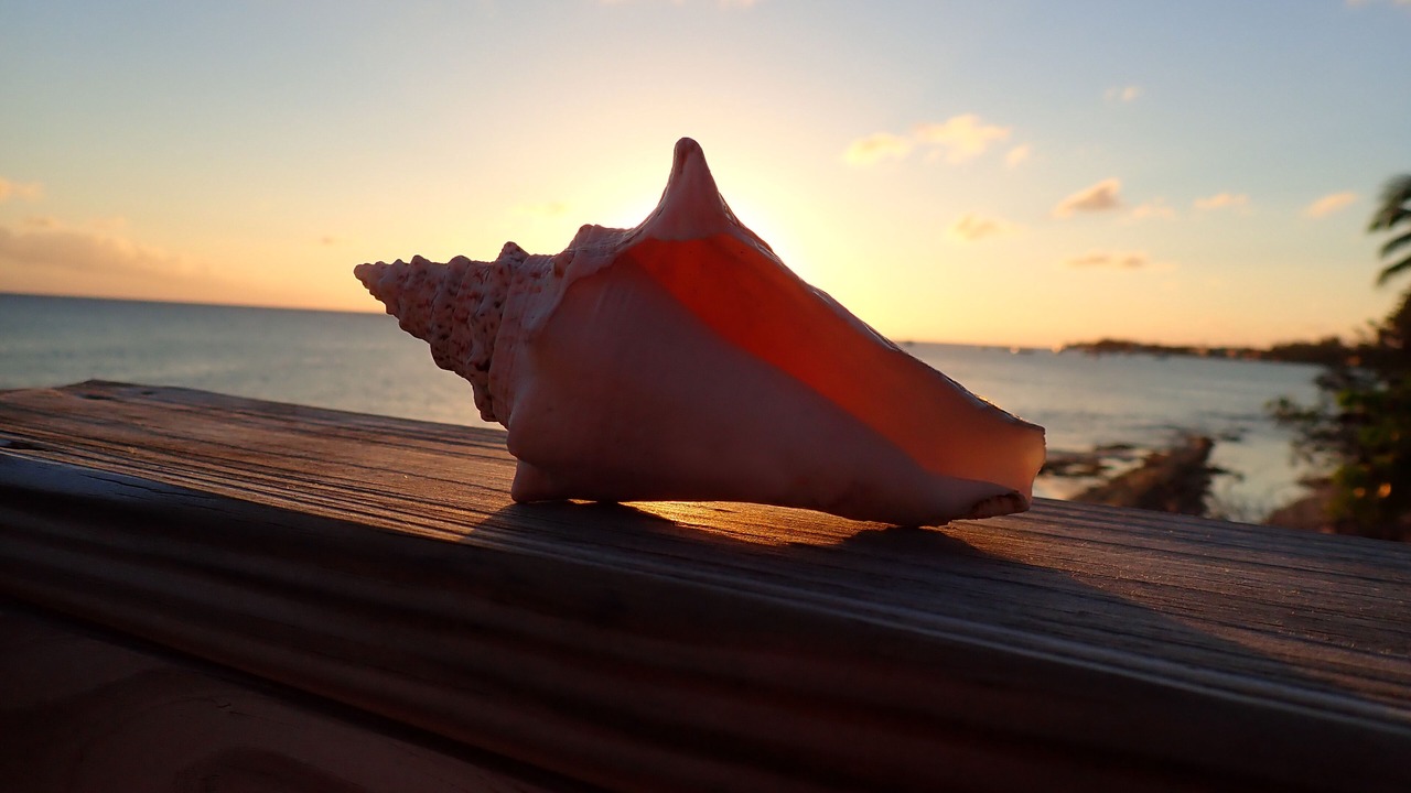 Photo of Others in West Bay