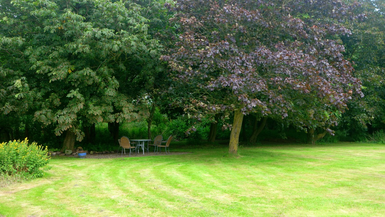 Photo of Outdoor in Hamswehrum
