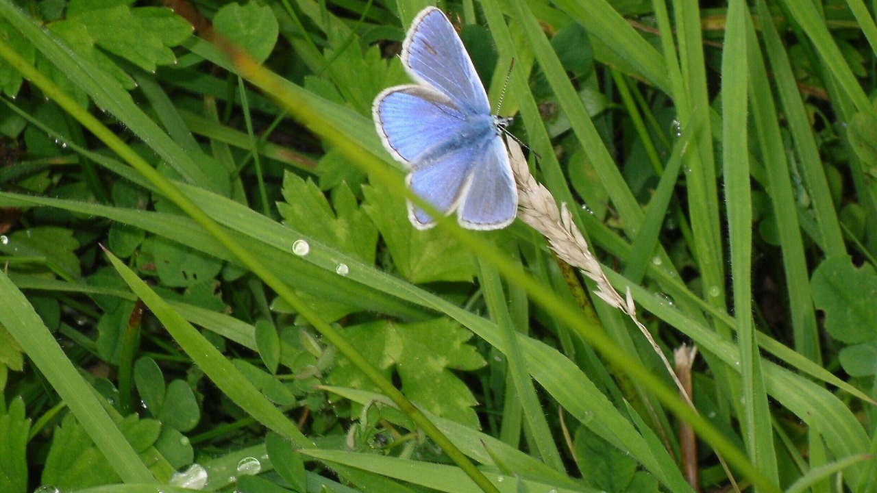 Photo of Others in Highampton