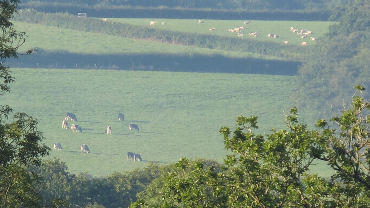 Photo of Others in Highampton