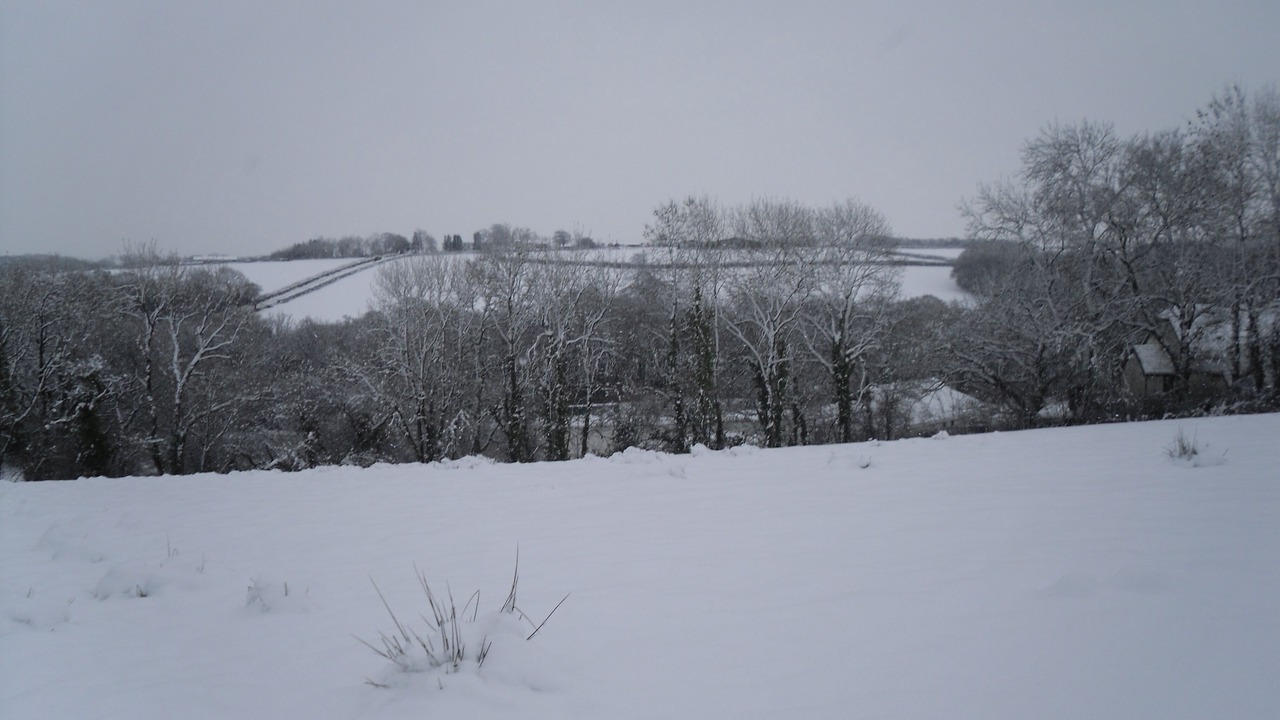 Photo of Others in Highampton