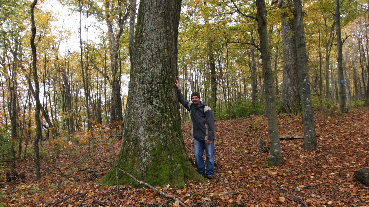 Photo of Others in Slaty Fork