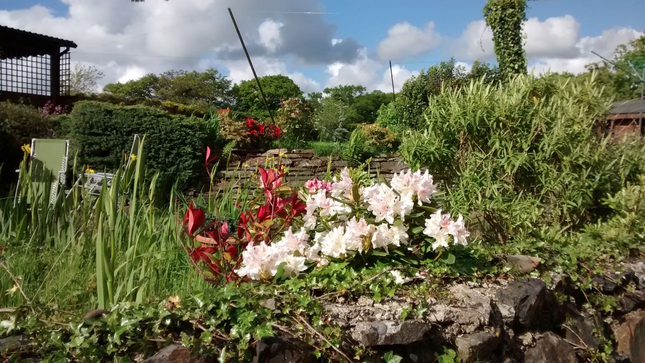 Photo of Outdoor in Highampton
