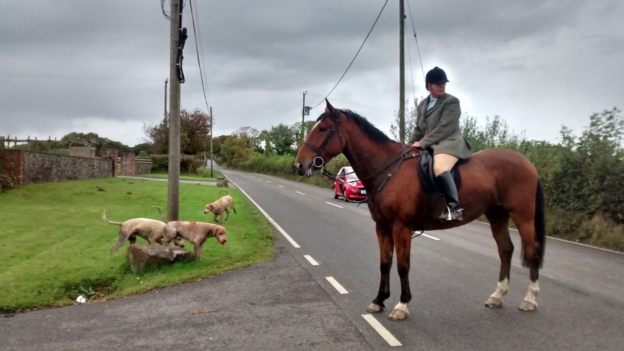 Photo of Others in Highampton