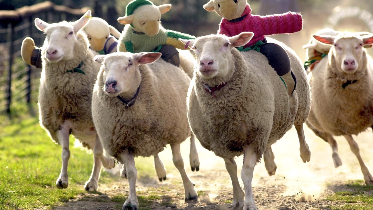 Photo of Others in Highampton