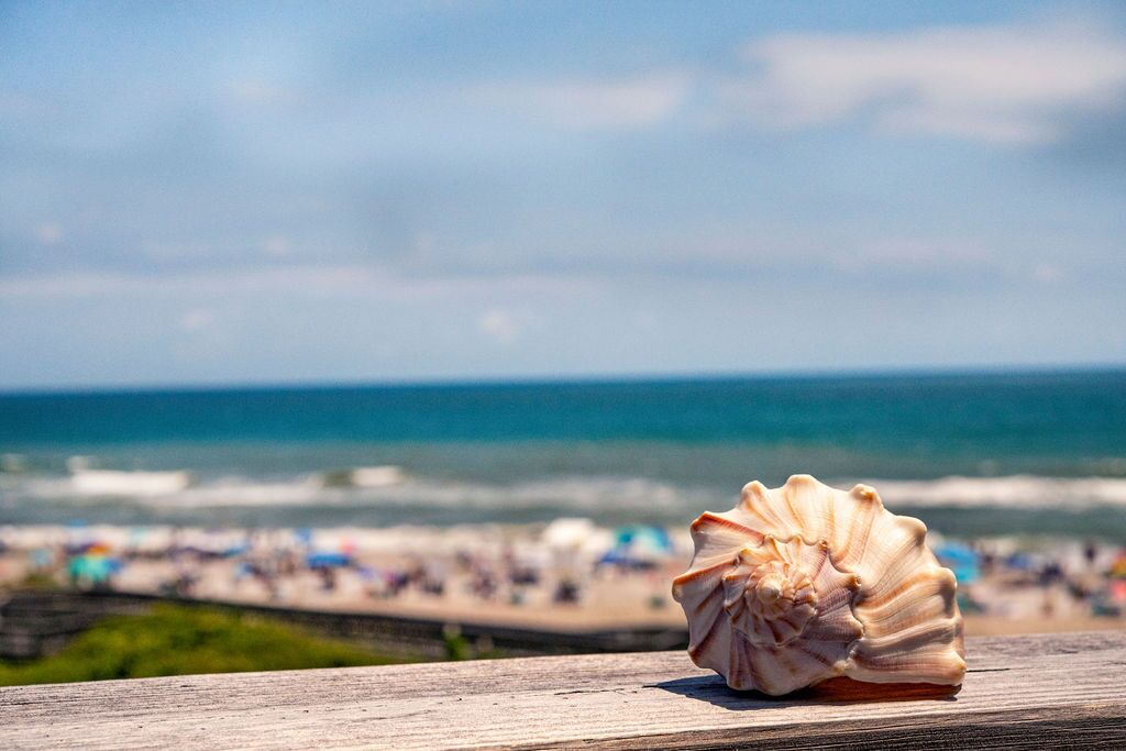 Photo of Others in Emerald Isle