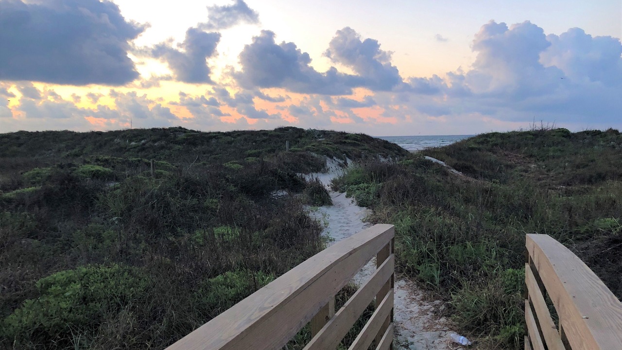 Photo of Others in Port Aransas