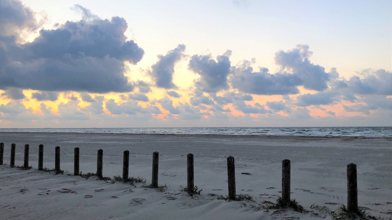 Photo of Others in Port Aransas