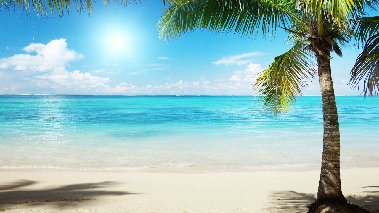 Photo of Others in Sanibel
